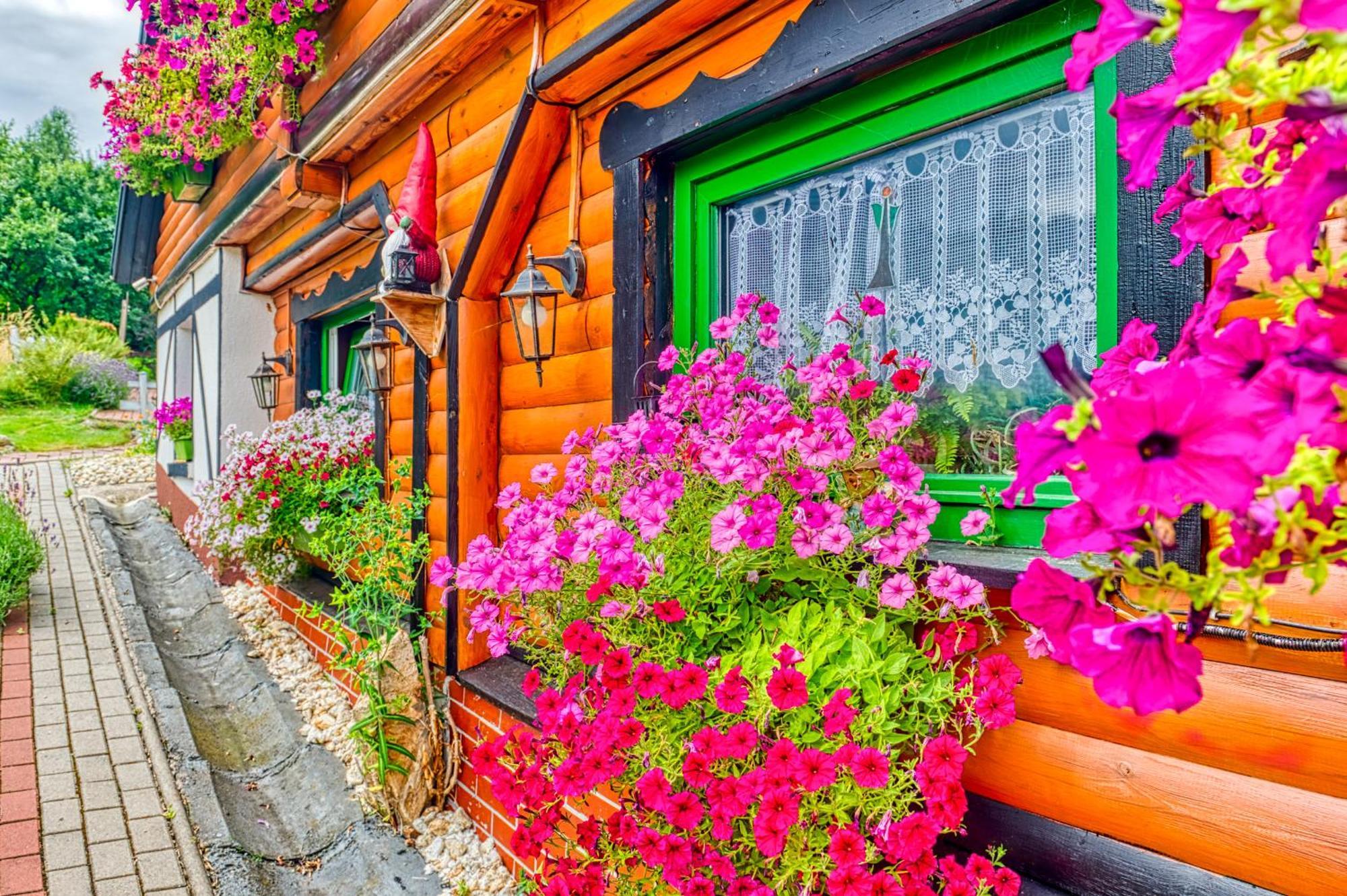 Ferienwohnung Gleboki Jar Świeradów-Zdrój Exterior foto